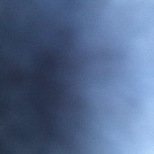 Meet your Posher, Shanelle